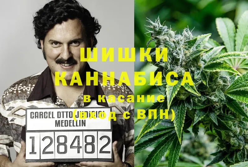 как найти наркотики  Бузулук  гидра   Канабис White Widow 